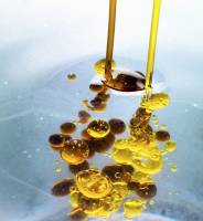 Frank BRUNET D'AUBIAC - FBAP SARL