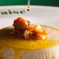 Rémy GOLINELLI - ABSOLT